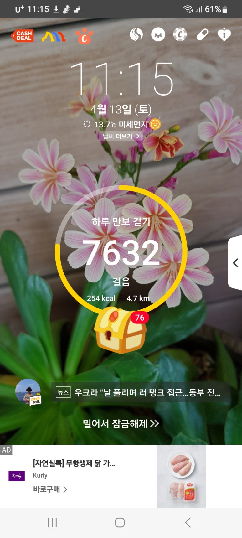 몽화가락 이미지