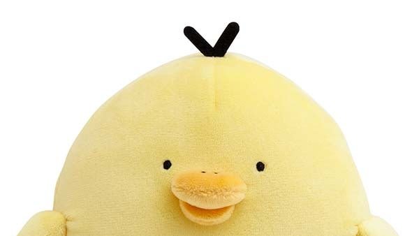 다이소대전 이미지