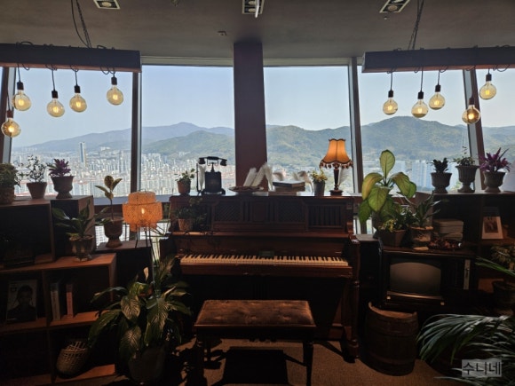 달빛,정원(Moonlight Garden) 이미지