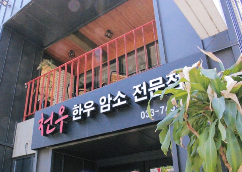 천우한우암소 이미지