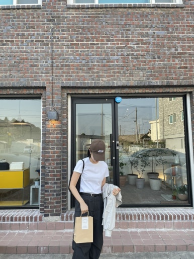 팔로디리몬 이미지