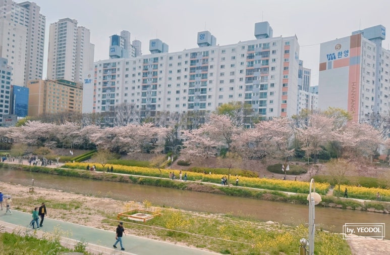 먹음직온천천점 이미지