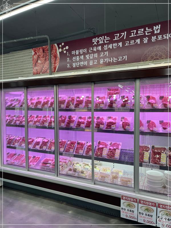 영지원 명가 이미지