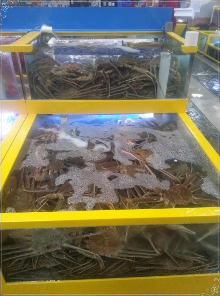 맛나라횟집 이미지