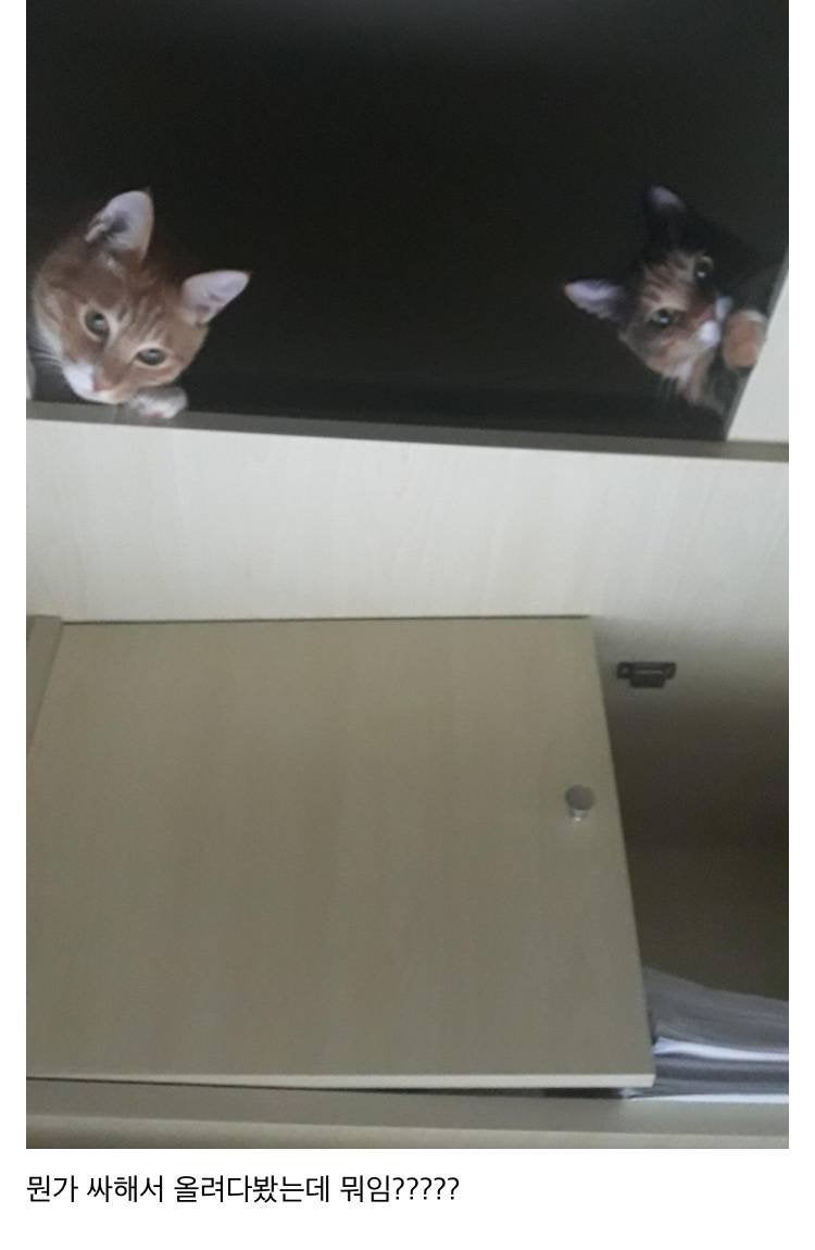 베스트독서실 이미지