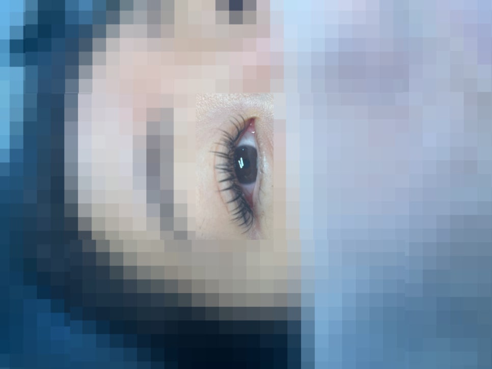 다온래쉬 이미지