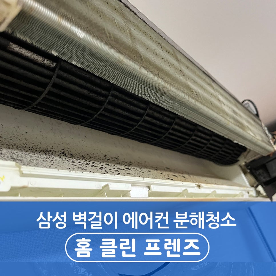 클린프렌즈 이미지