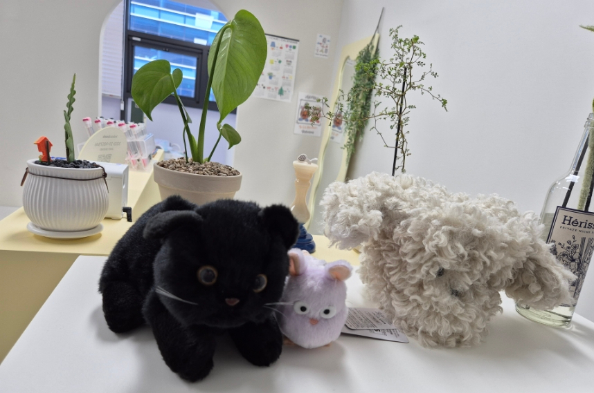 로로아로 이미지
