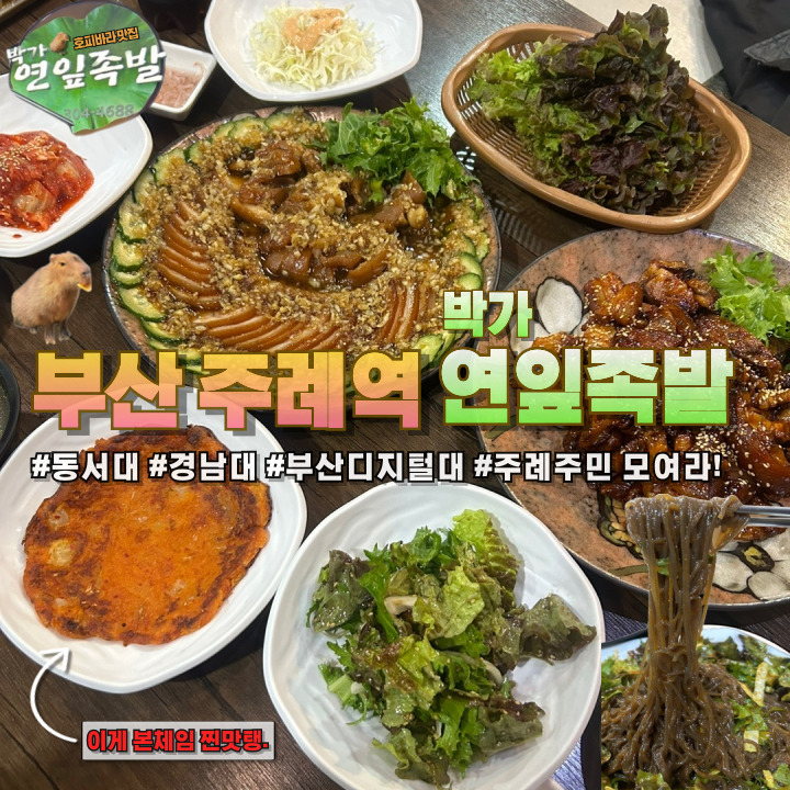 박가연잎족발 이미지