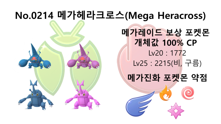 레이드백 이미지