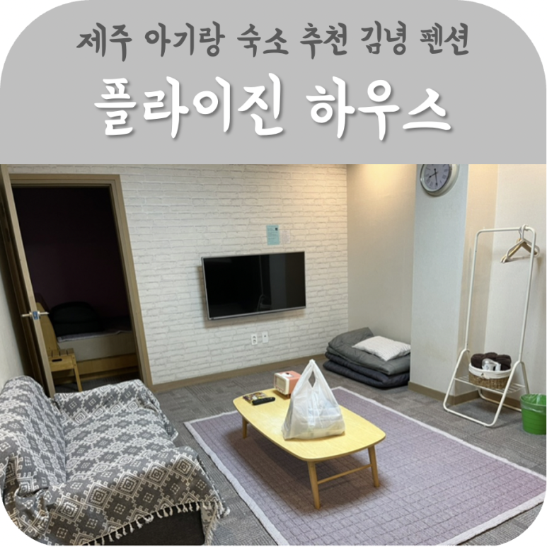 플라이진 이미지