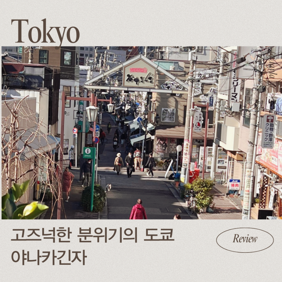 카야바이오 이미지