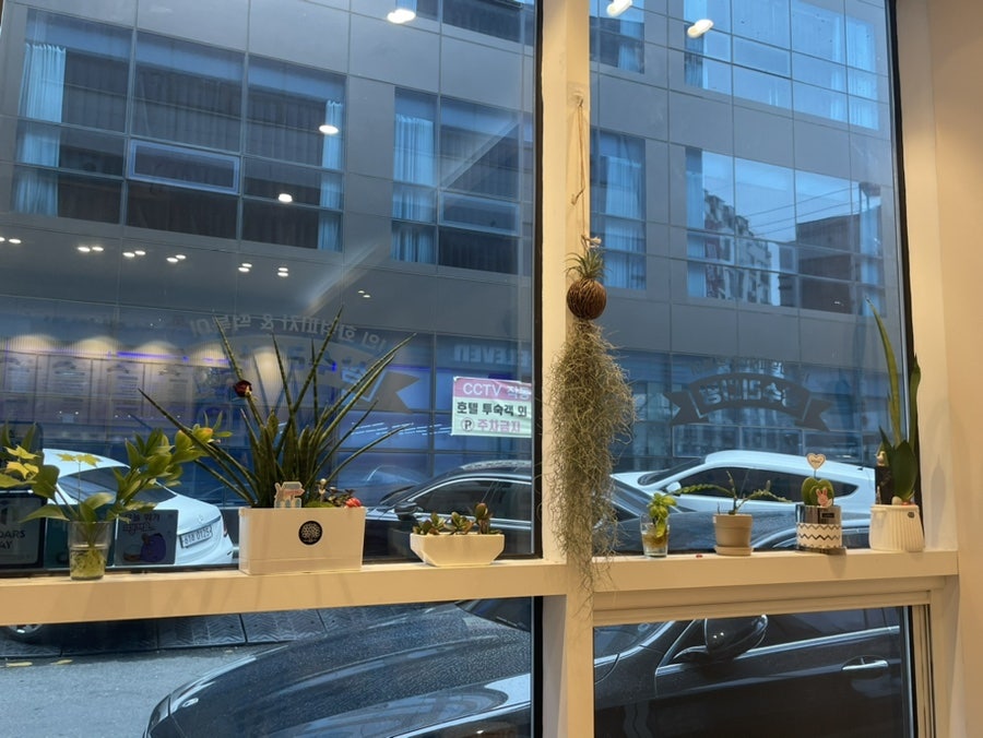 상수리화덕피자 이미지