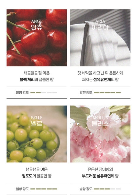 플로랑 이미지