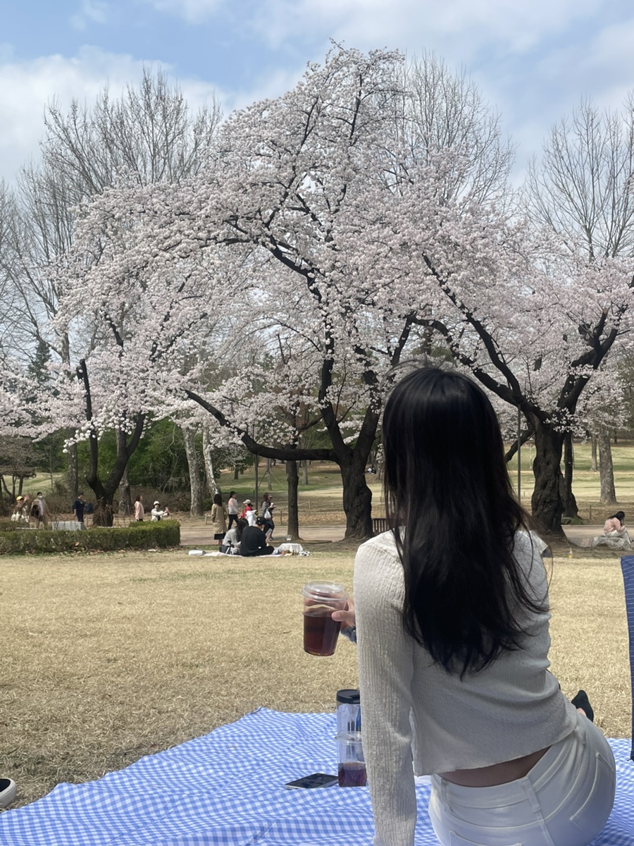 아차산떡볶이도시락 이미지