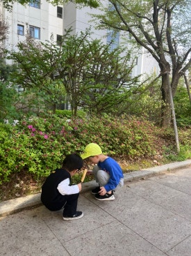 헬리오 츄러스 이미지