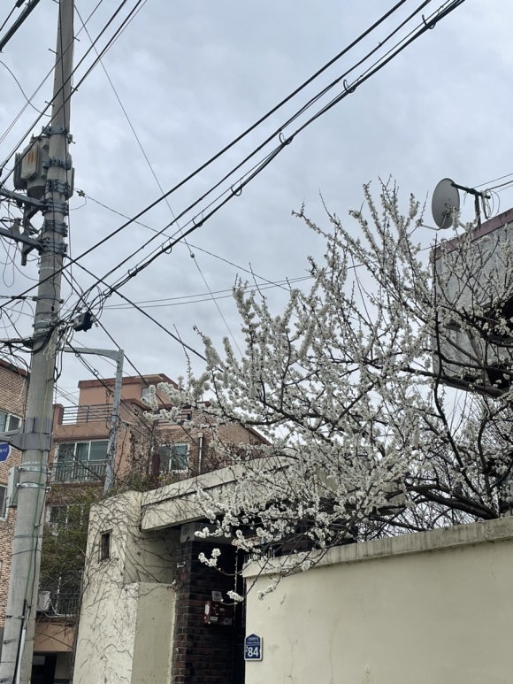 45st. 이미지