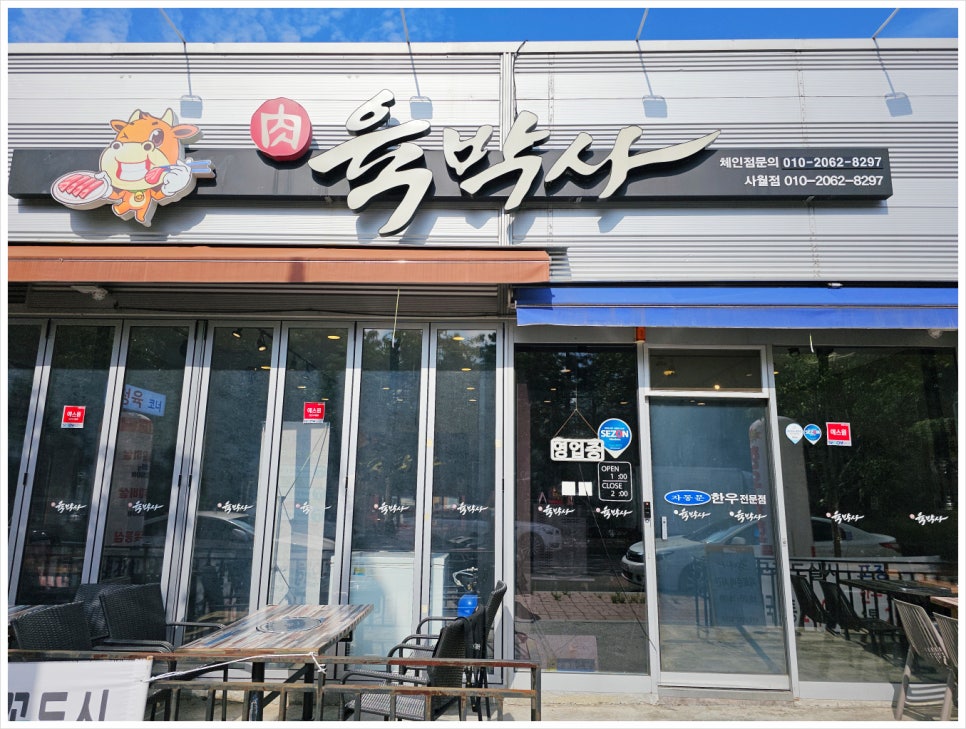 노규창의육박사 이미지