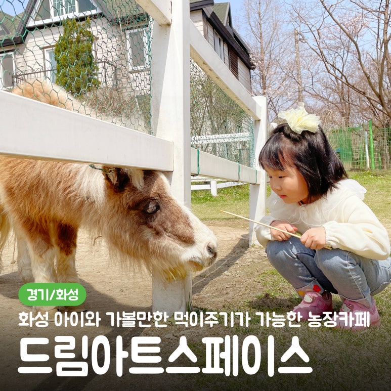 (주)드림스페이스 이미지