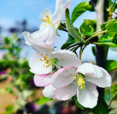 (사)대한어머니회중앙회 이미지