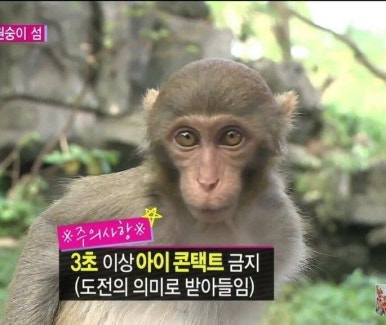 핑킹클럽 이미지