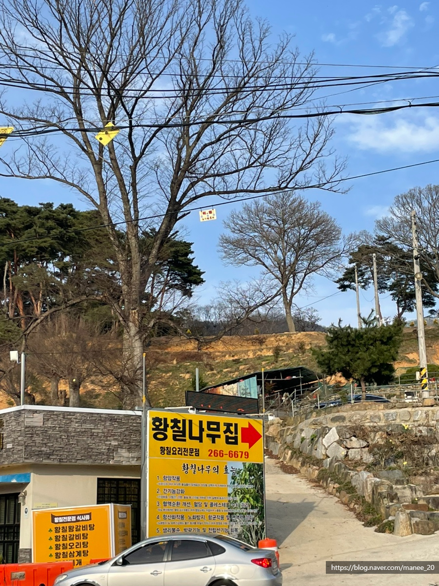 왕버들육전호두당 이미지