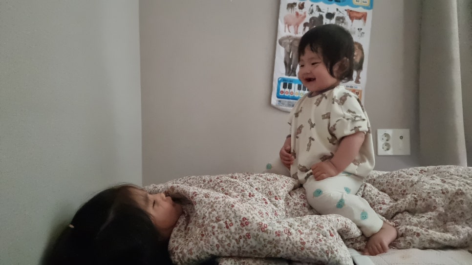 우애좋은현재둘 이미지