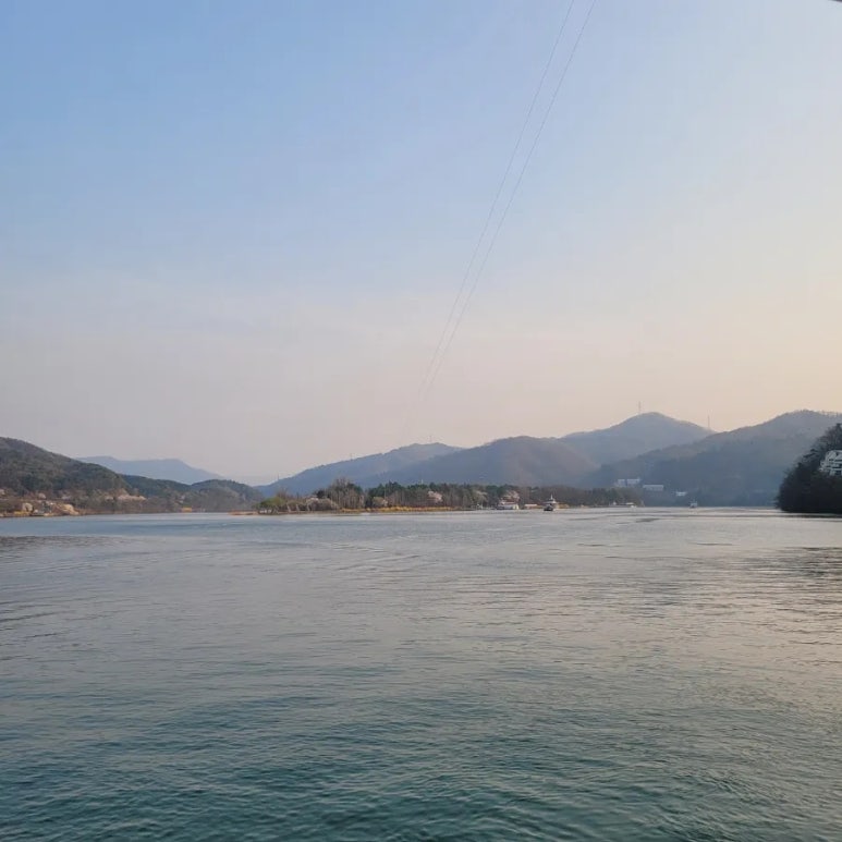 세네동 이미지