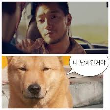 제이조이 이미지