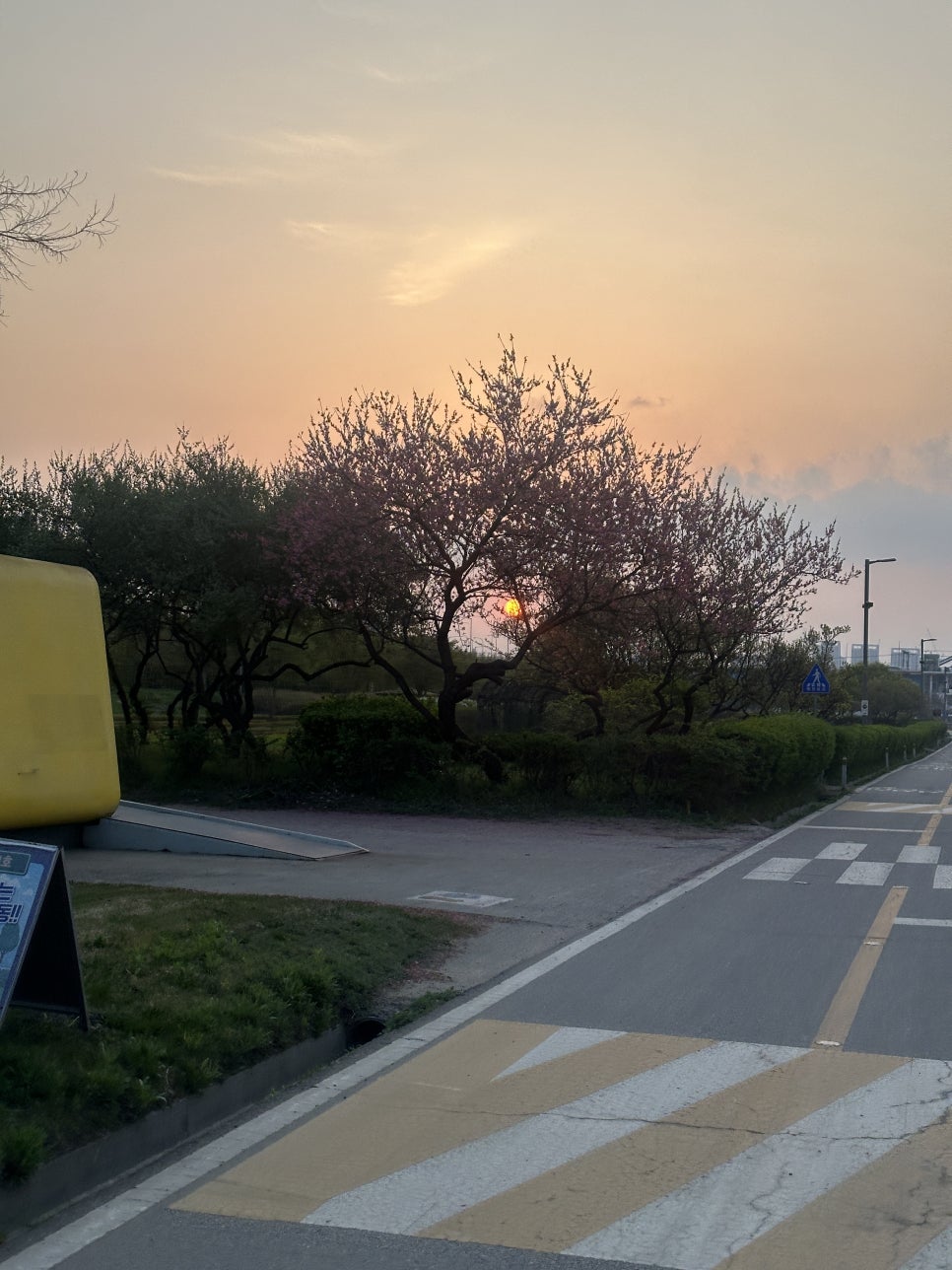 노랑통닭용산용문동점 이미지
