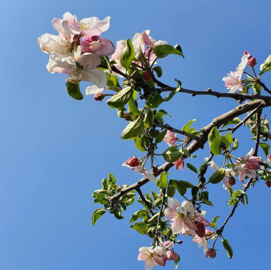 (사)대한어머니회중앙회 이미지