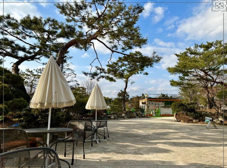 애원카페 이미지