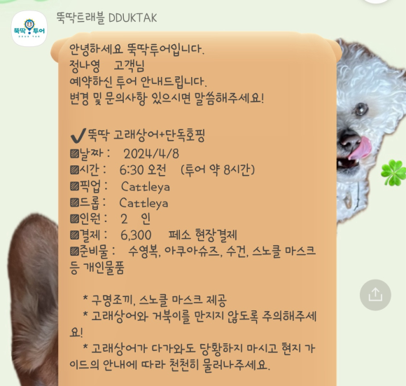 뚝딱트래블 이미지