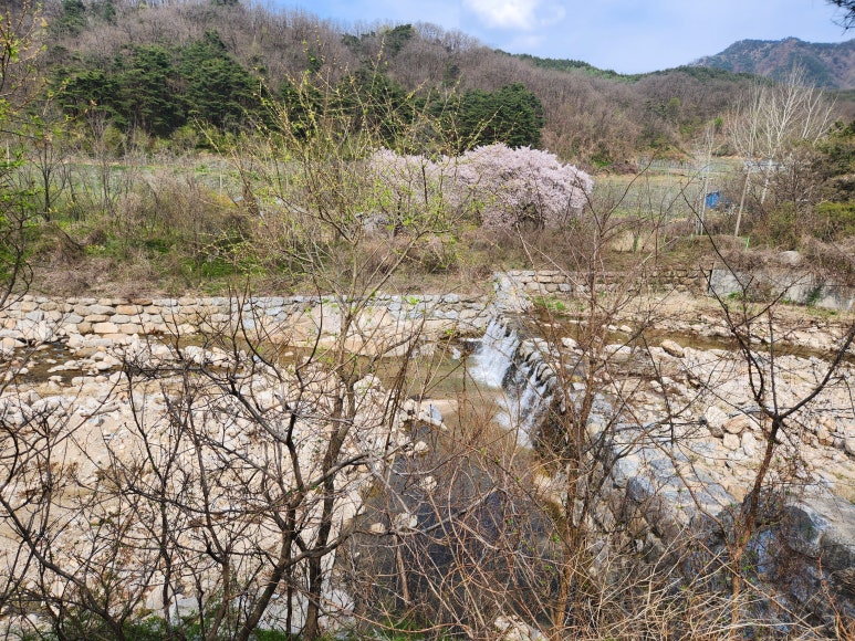 팔공쉼터야영장 이미지