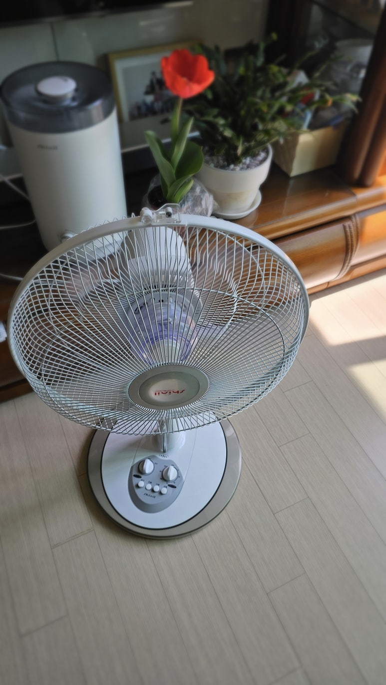 라일락다방카페 이미지