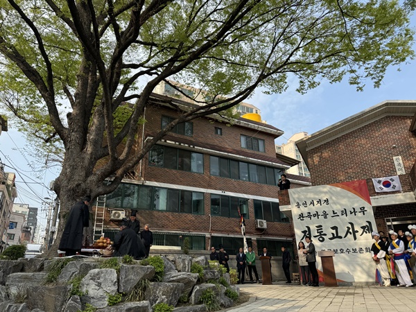 느티나무마을 이미지