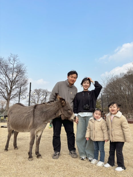 당나귀를부탁해 이미지