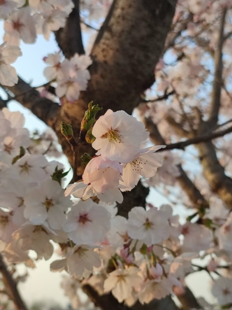 (주)우리마트 이미지