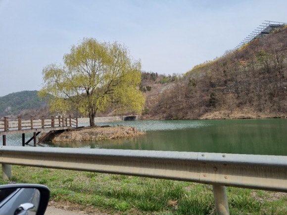 펫힐링달빛동물원 캠핑장 이미지