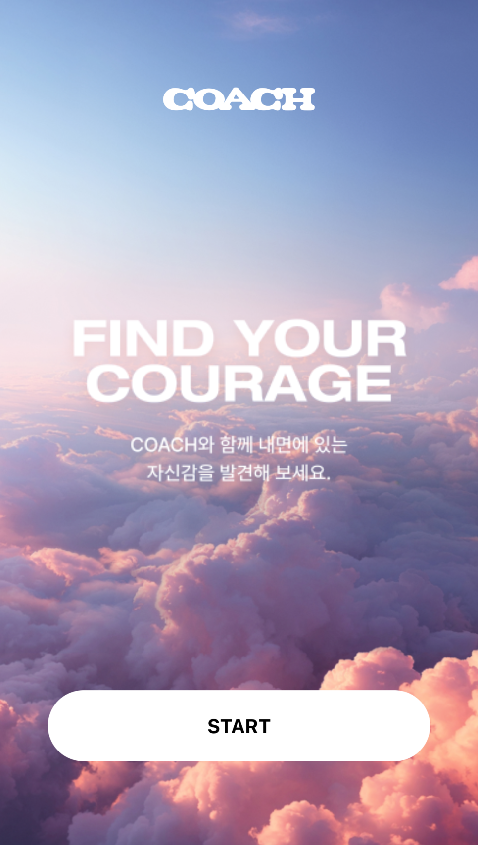 코우치리미티드 이미지