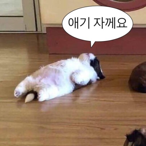 너의봄날 이미지