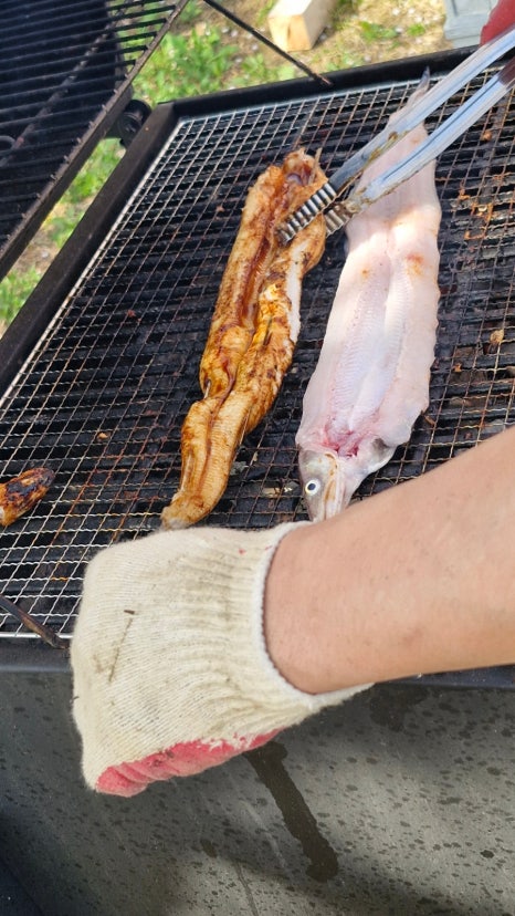 멍애견카페 이미지