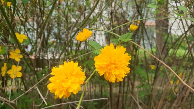 마한주유소 이미지