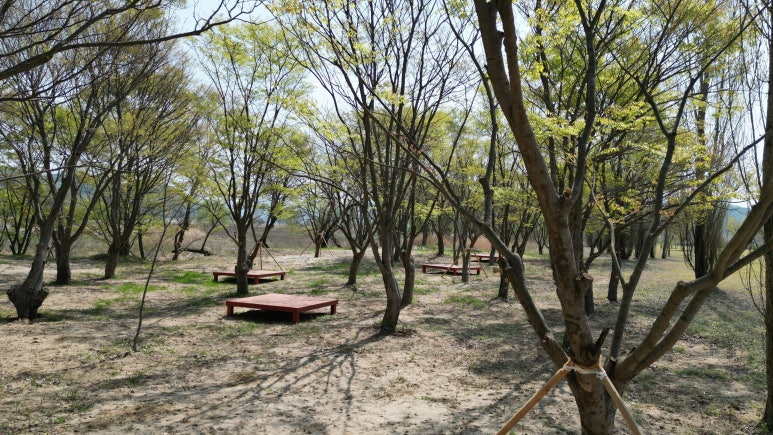 금은모래 캠핑장 이미지
