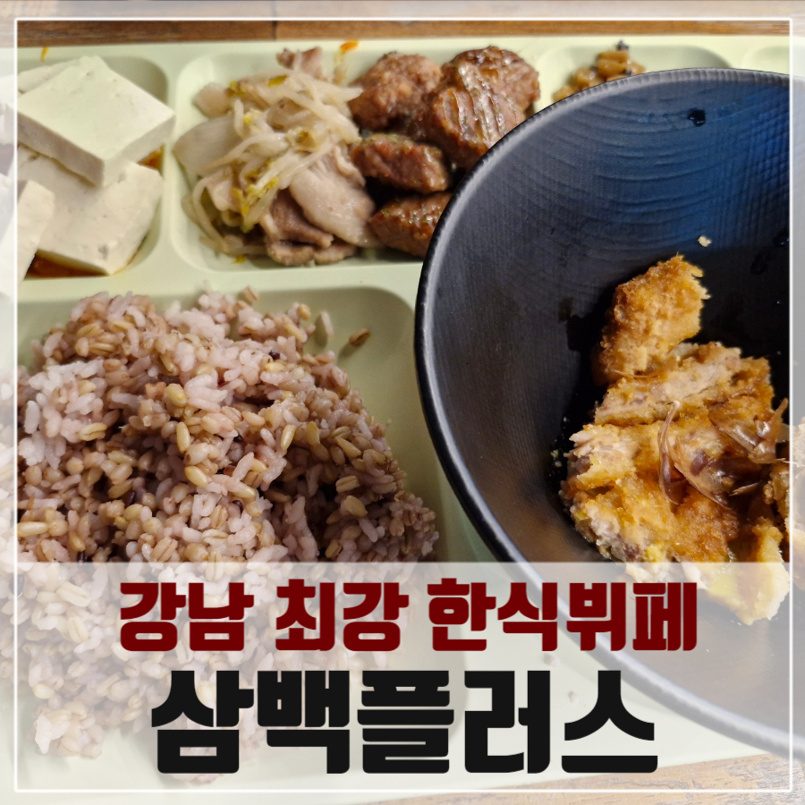 삼백 플러스 이미지