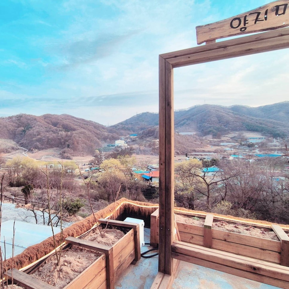 양지셀프 이미지