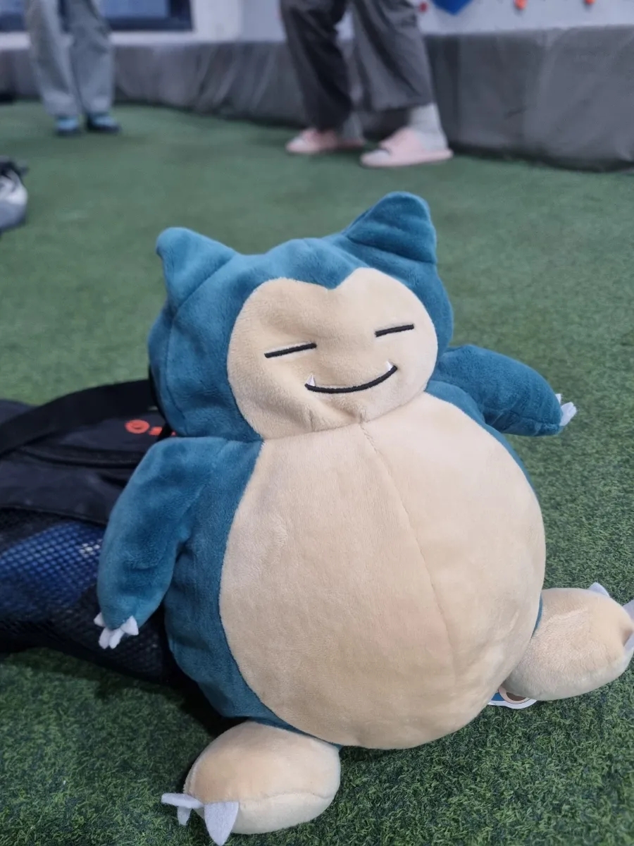 밍백 이미지
