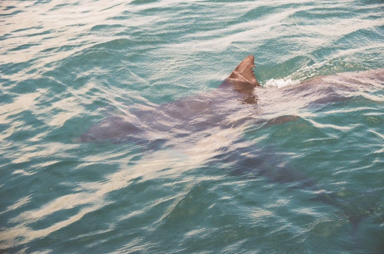 비키2 이미지