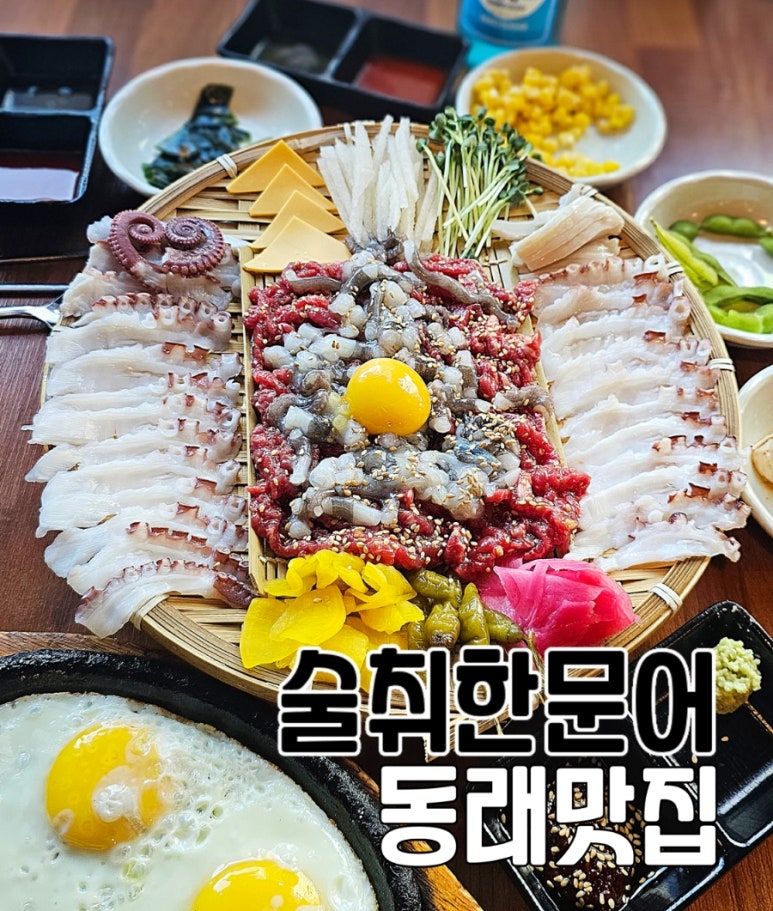 술취한문어 이미지