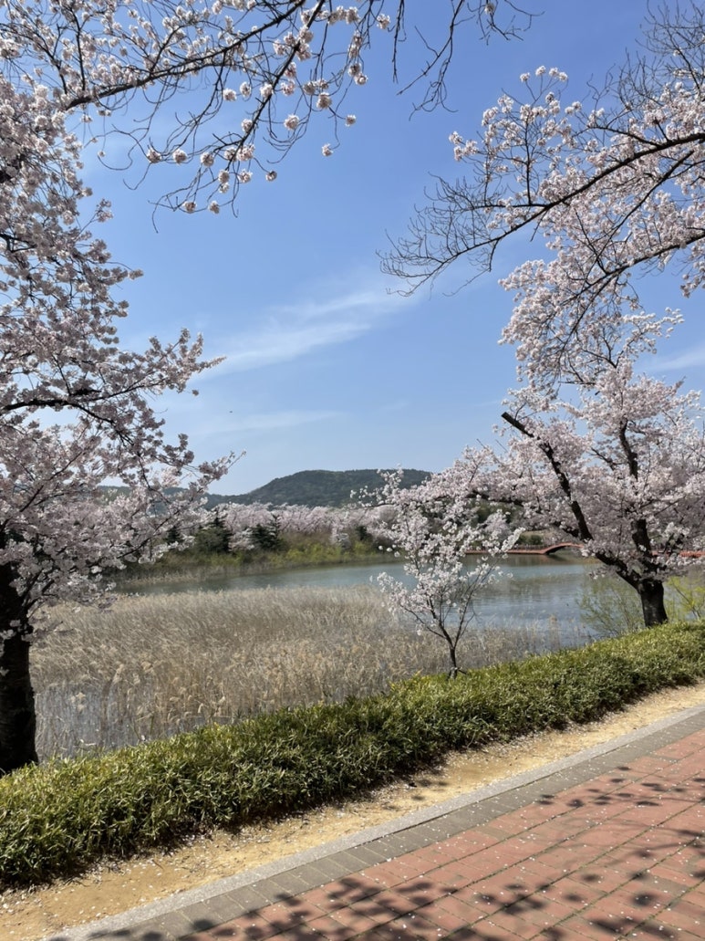 보문돌짜장 이미지